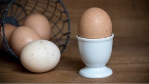 biologische wertigkeit