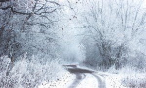 Joggen im Winter