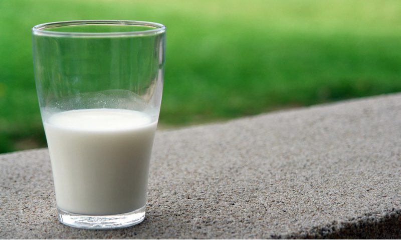 Milch - wirklich so gesund?