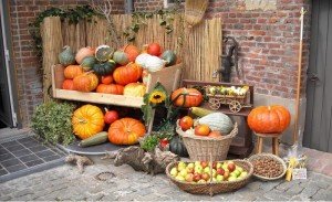 Kuerbis_Fitness_Gesund