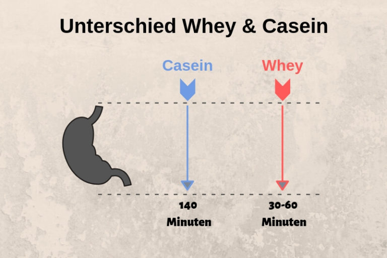 Casein Protein Pulver Wirkung Whey Einnahme