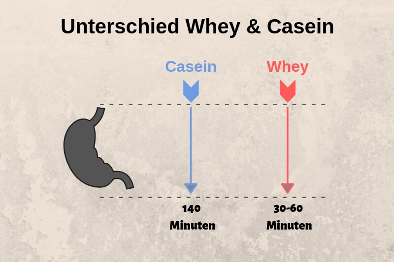 casein vs whey protein