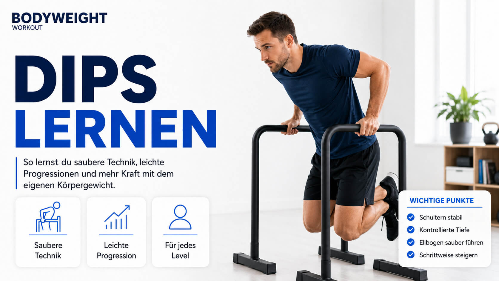 Dips lernen